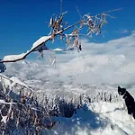 Шале Panorama Hoellmaishof *