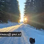 Шале Panorama Hoellmaishof