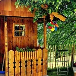 Panorama Hoellmaishof Шале Бишофсхофен