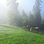 Panorama Hoellmaishof Шале Бишофсхофен