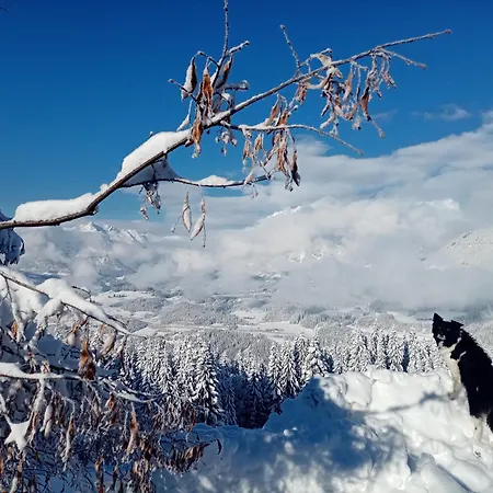 Chalet Panorama Mit Sauna Höllmaishof *