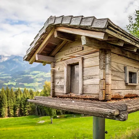 Panorama Mit Sauna Höllmaishof Chalet