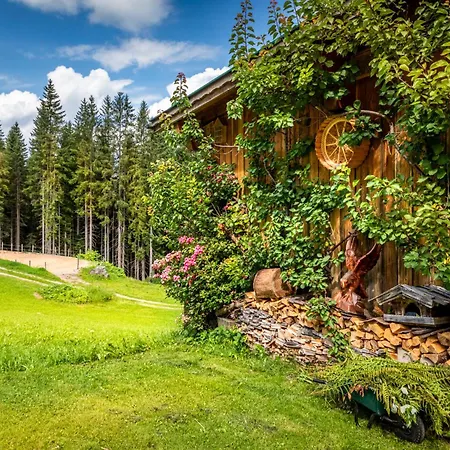 Dağ evi Panorama Hoellmaishof *