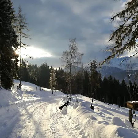 Panorama Hoellmaishof Dağ evi Bischofshofen