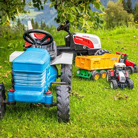 Panorama Mit Sauna Hoellmaishof