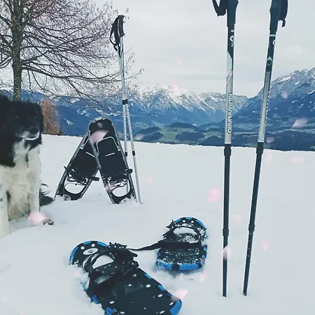 Panorama Mit Sauna Hoellmaishof 木屋