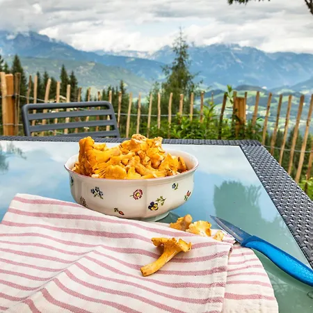 Chalet Panorama Mit Sauna Höllmaishof *