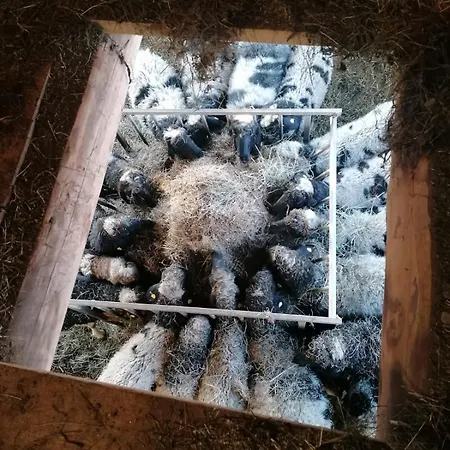 Panorama Mit Sauna Hoellmaishof * Бишофсхофен