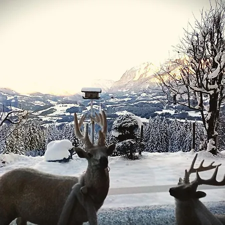 Panorama Mit Sauna Hoellmaishof * 比绍夫斯霍芬