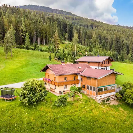 Panorama Hoellmaishof Dağ evi Bischofshofen