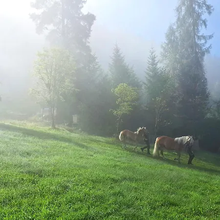 Panorama Hoellmaishof Dağ evi Bischofshofen