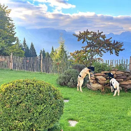 Panorama Mit Sauna Hoellmaishof