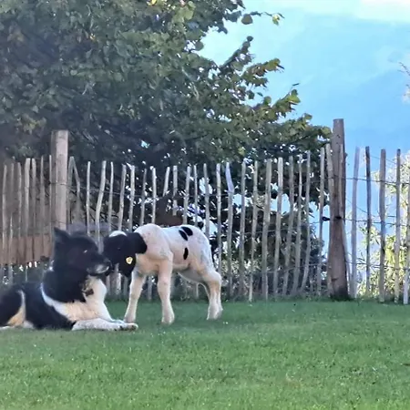 Chalet Panorama Mit Sauna Höllmaishof