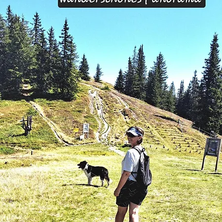 Panorama Mit Sauna Hoellmaishof *