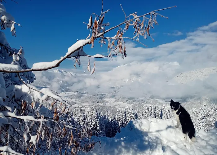 샬레 Panorama Mit Sauna Hoellmaishof *