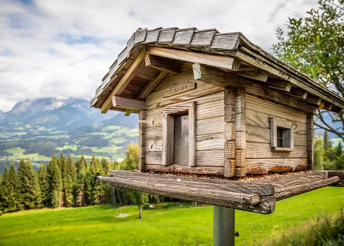 Panorama Mit Sauna Hoellmaishof シャレー