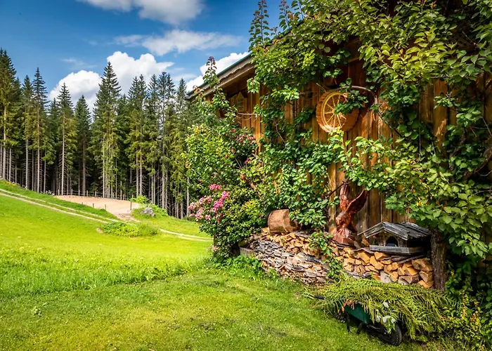 シャレー Panorama Mit Sauna Hoellmaishof *