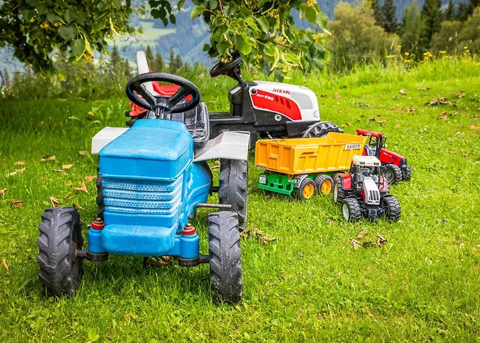 Panorama Mit Sauna Hoellmaishof