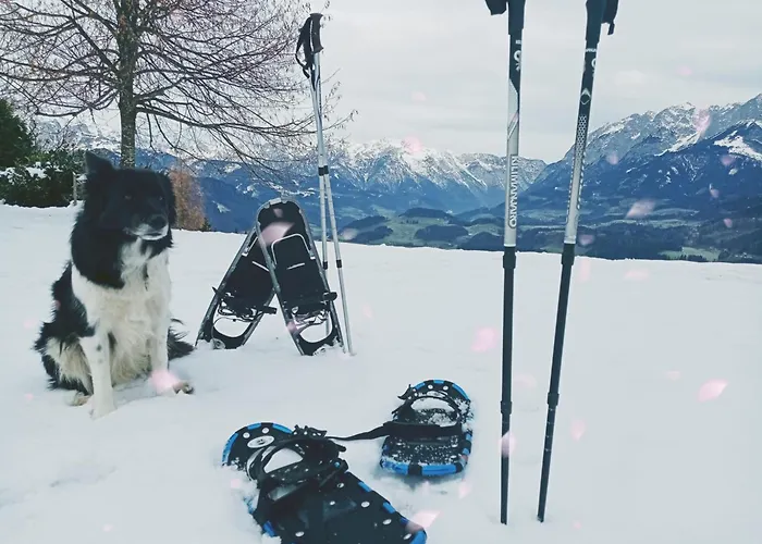 Panorama Mit Sauna Hoellmaishof シャレー