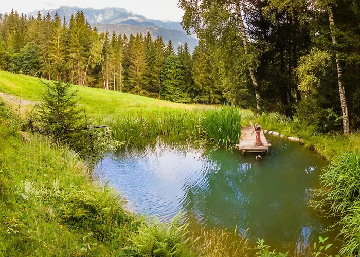 Panorama Mit Sauna Hoellmaishof *