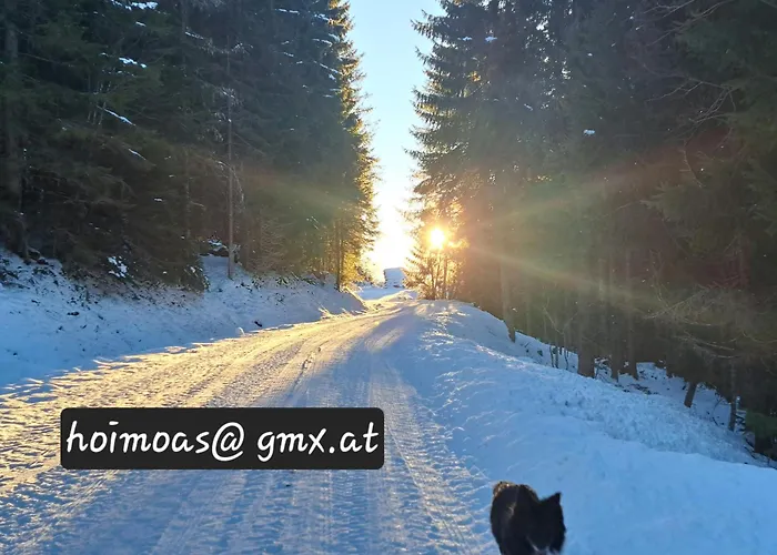 Dağ evi Panorama Mit Sauna Hoellmaishof