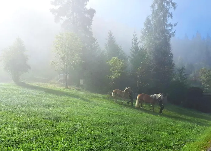 Panorama Mit Sauna Hoellmaishof 샬레 비쇼프스호펜