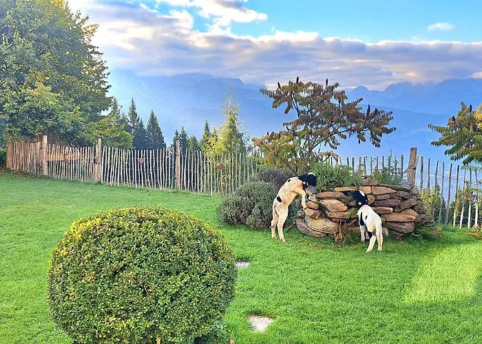 Panorama Mit Sauna Hoellmaishof