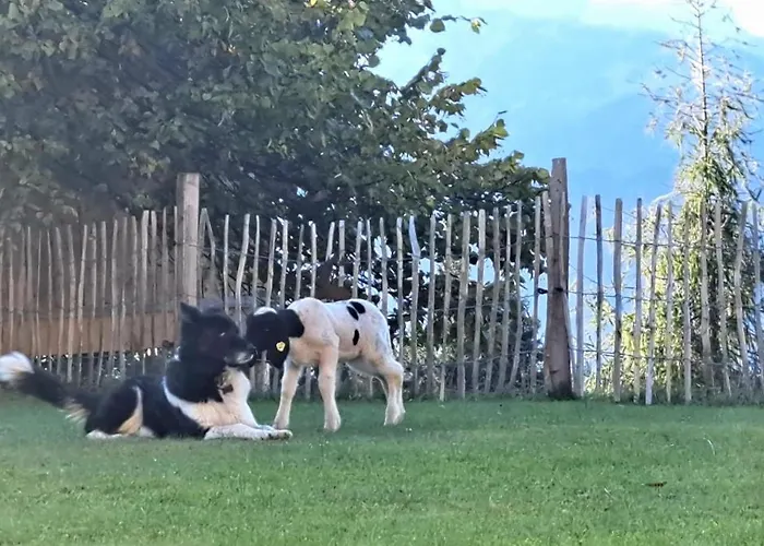 샬레 Panorama Mit Sauna Hoellmaishof