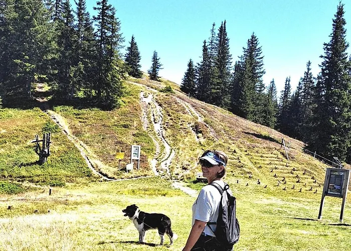 Panorama Mit Sauna Hoellmaishof *